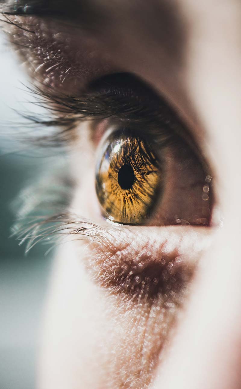 Medical or Vision Plan? – St. Lucie Family Eye Care